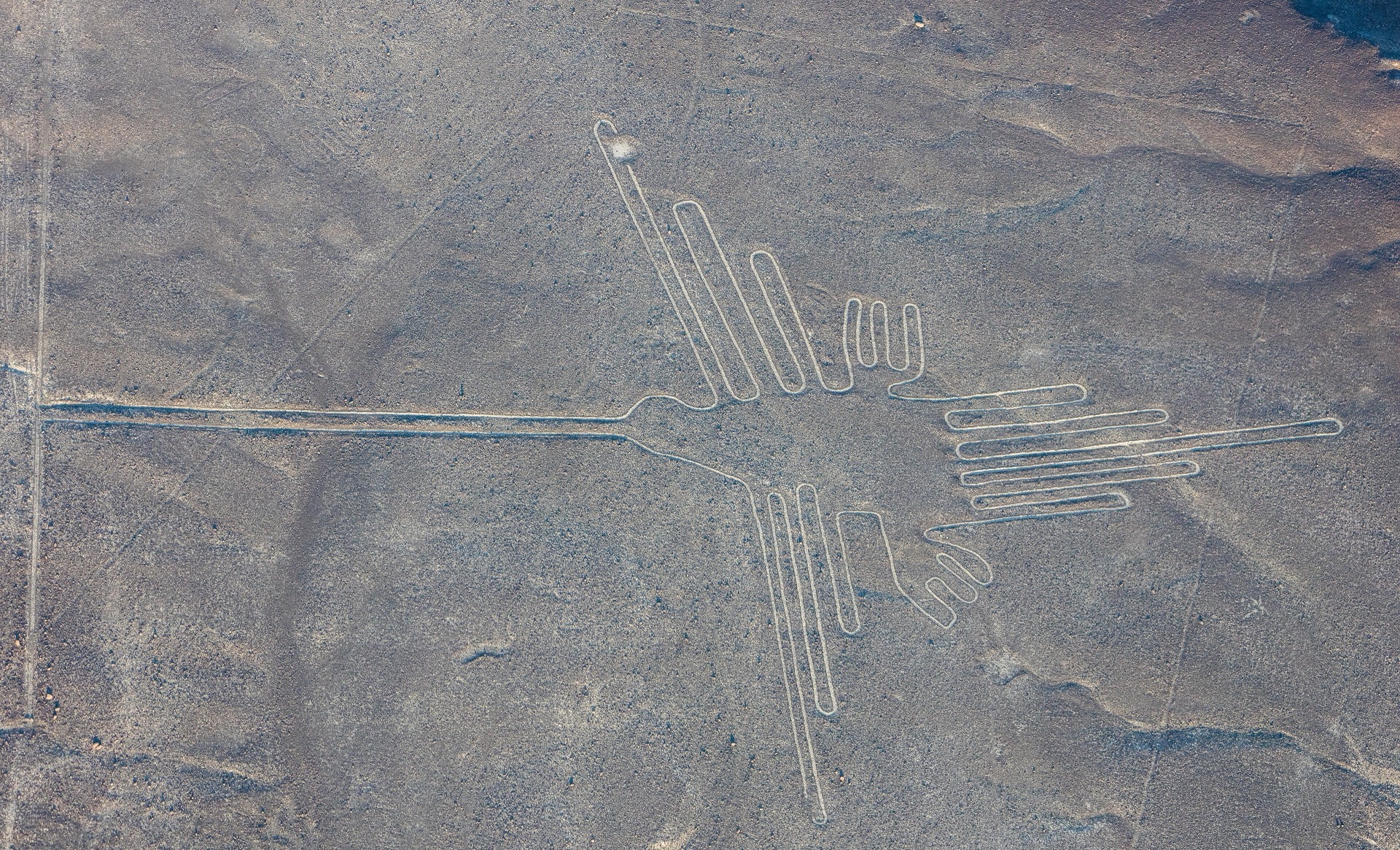The Nazca hummingbird geoglyph from the air